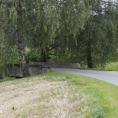 Walkinggruppe
