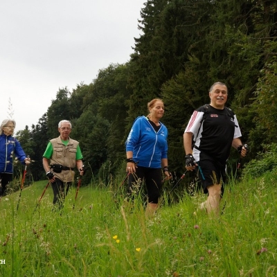 Walkinggruppe