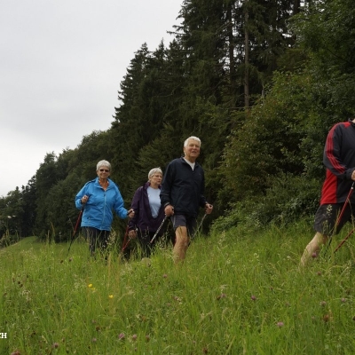 Walkinggruppe