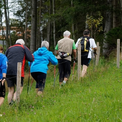 Walkinggruppe