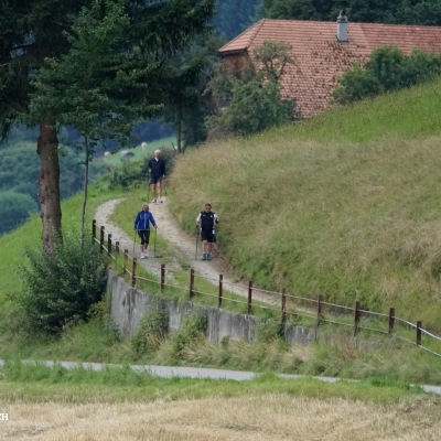 Walkinggruppe