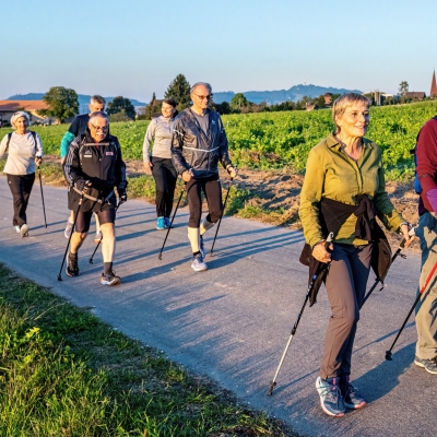 Walking Training 2022
