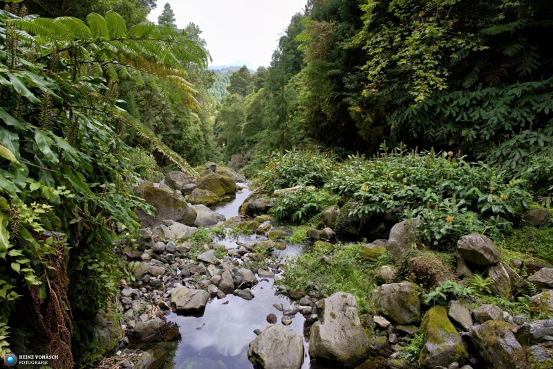 Azoren_202409_0045