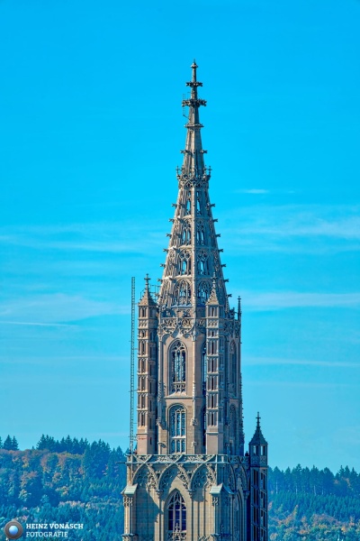 Berner Münster 15