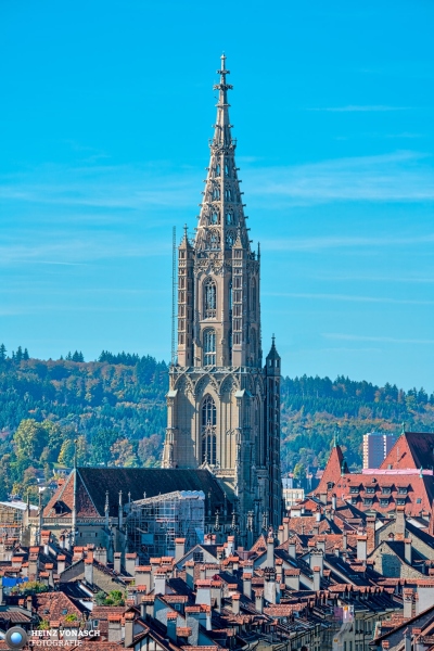 Berner Münster 16