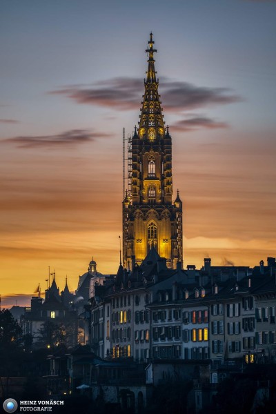 Berner Münster 7