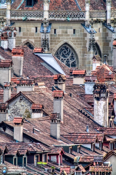 Bern 29