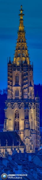 Berner Münster 14