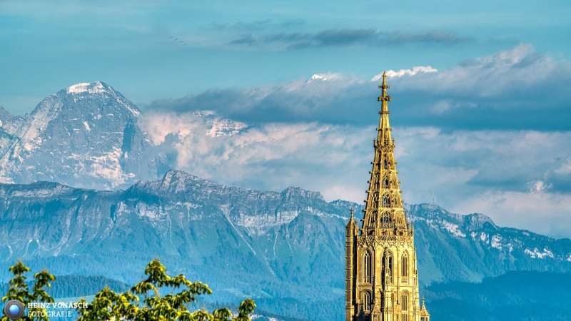 Berner Münster