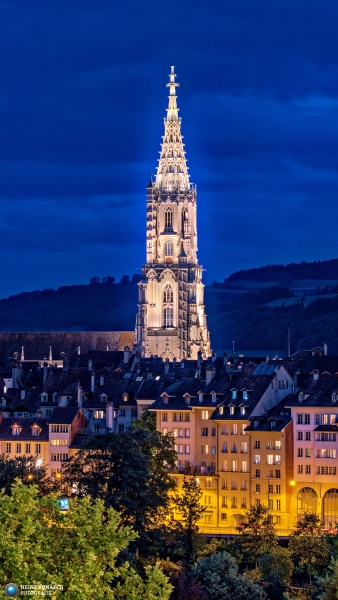 Berner Münster 11