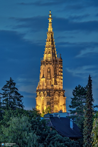 Berner Münster 8
