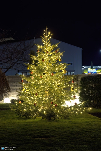 Businessversum_20241218_0074