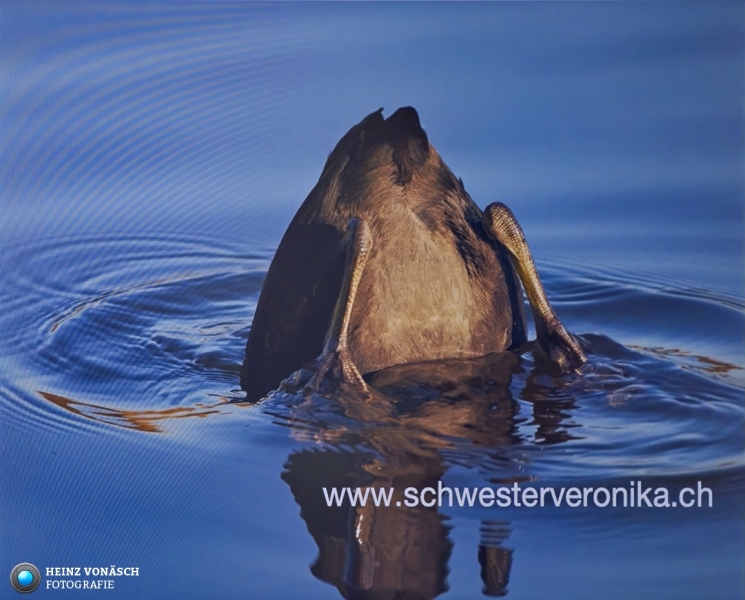 1_Businessversum_20250702_0038