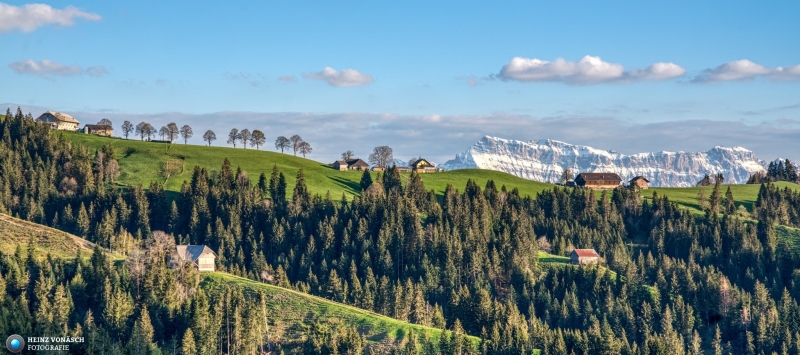 Emmental 11