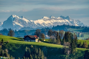 Emmental 12