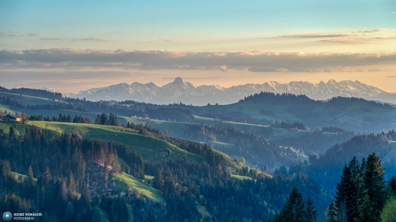Emmental 16