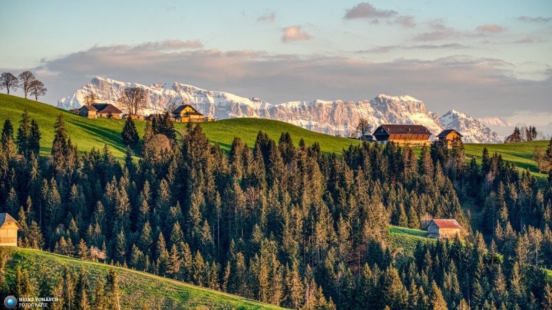 Emmental 17