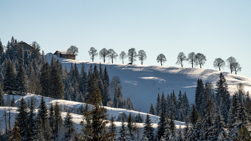 Emmental 1
