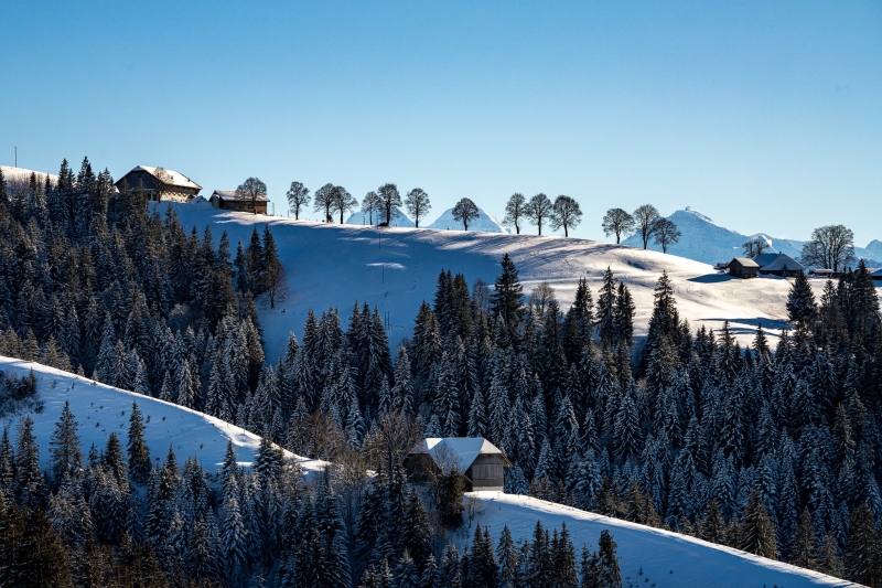 Emmental 2