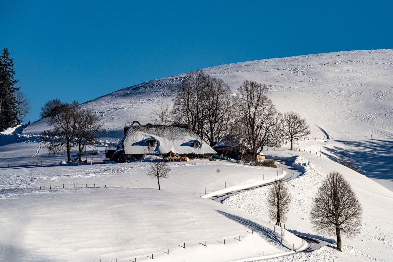 Emmental 4