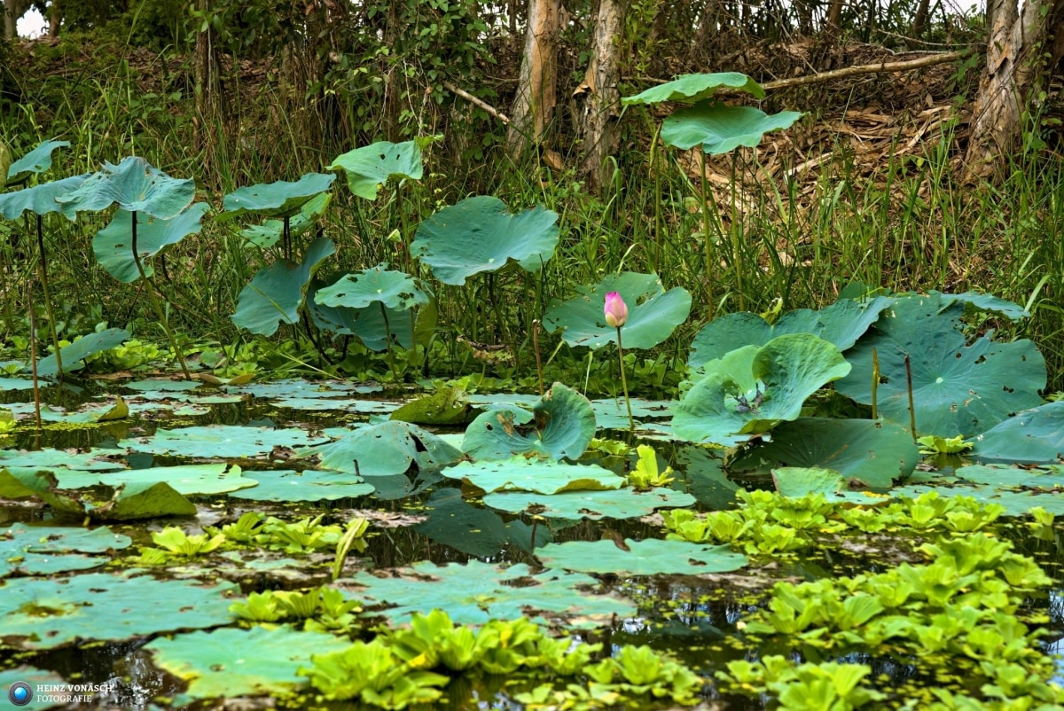 Saigon_202405_0085