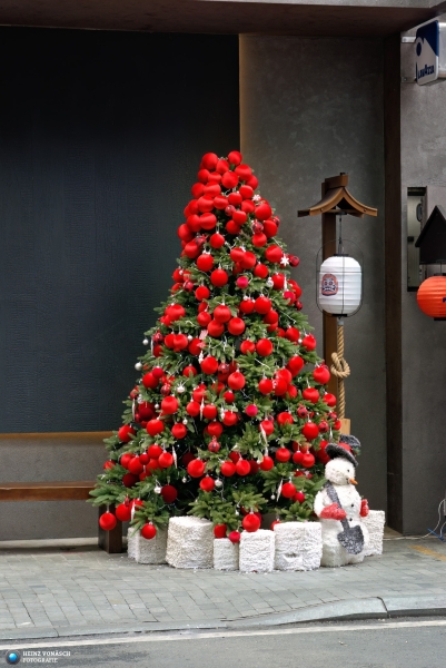 Saigon_PIQ4-2024_0094