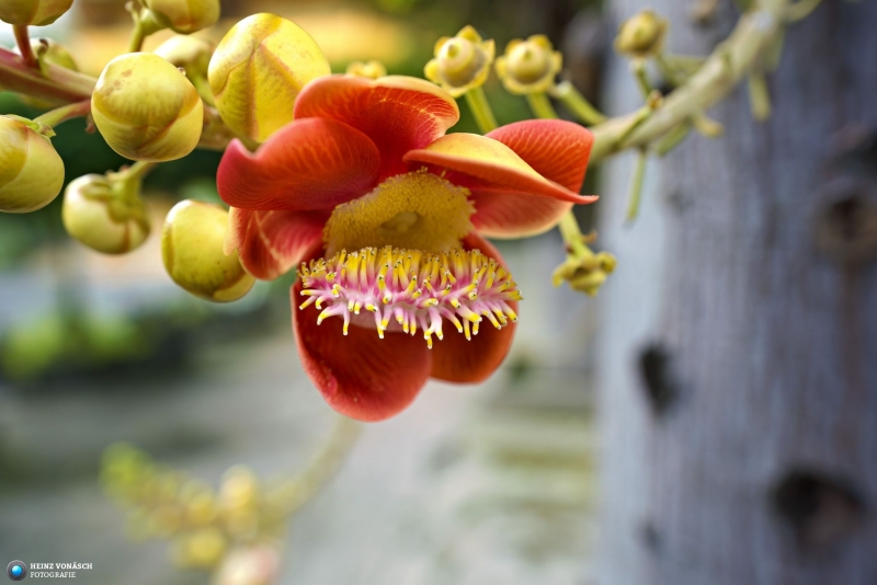 Saigon_PIQ4-2024_0130