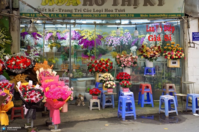 Saigon_PIQ4-2024_0147