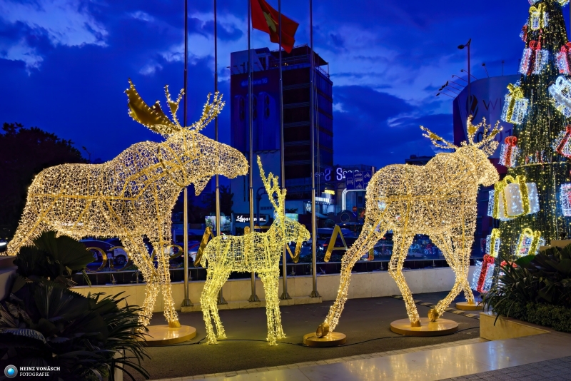 Saigon_PIQ4-2024_0268