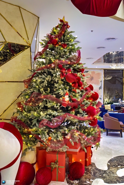 Saigon_PIQ4-2024_0435