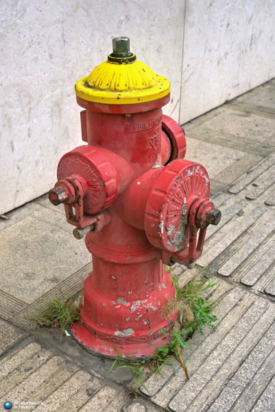 Saigon_PIQ4-2024_0452