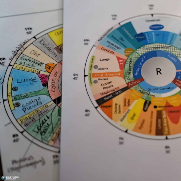 20240502_Ladyversum_0097