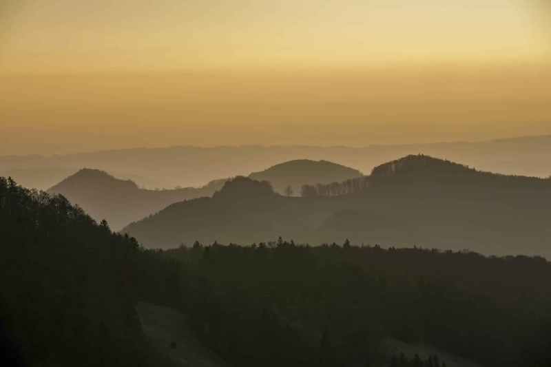 Vogelberg 2