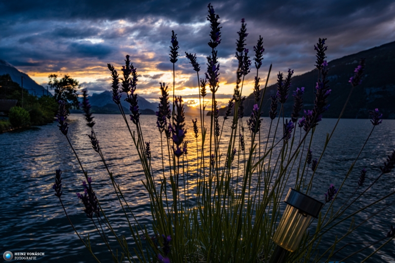 Thunersee 1