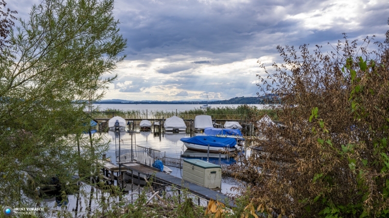 Murtensee beim Mont Vully