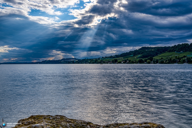 Mont Vully 3