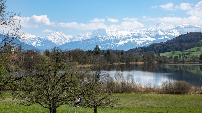 Amsoldingersee 1