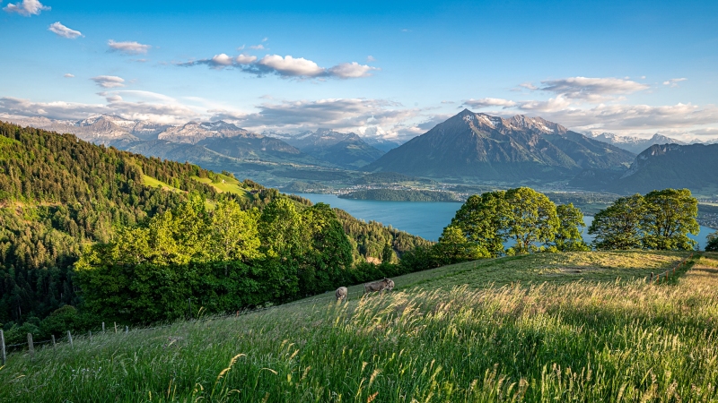 Berner Oberland, Niesen 1