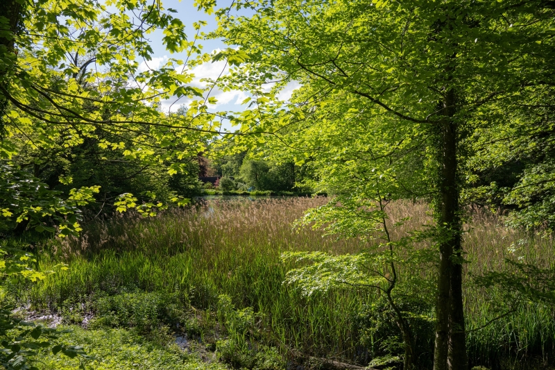 Arlesheim Naturschutzgebiet Eremitage 3