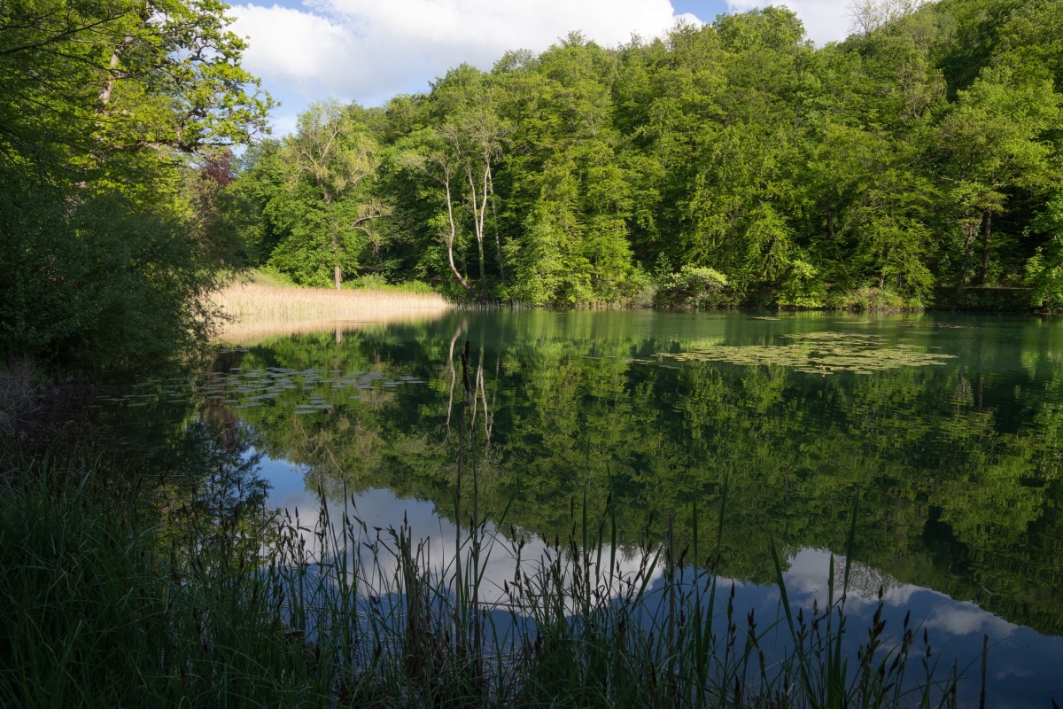 Arlesheim Naturschutzgebiet Eremitage