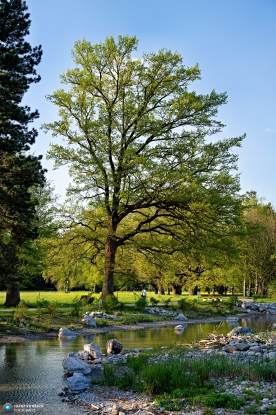 Landschaft Schweiz 1