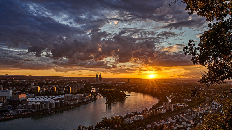 Basel 5
