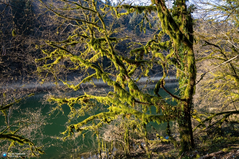 Doubs 4