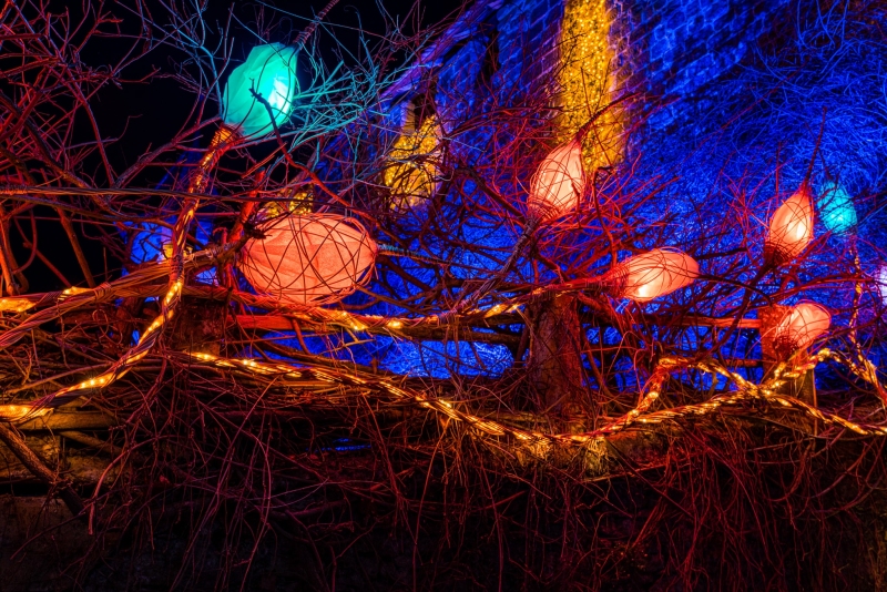 Murten Licht-Festival