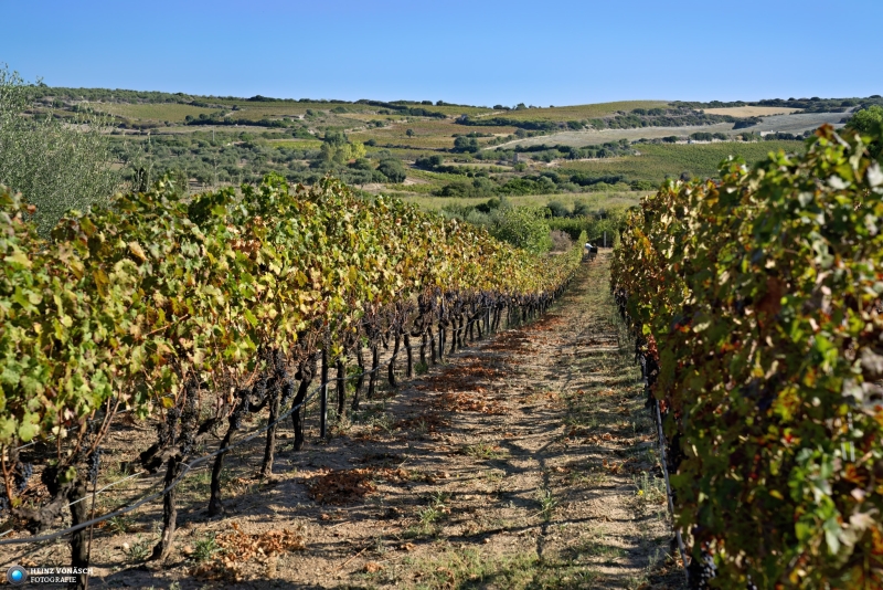 1_Sardinien_2023_0092