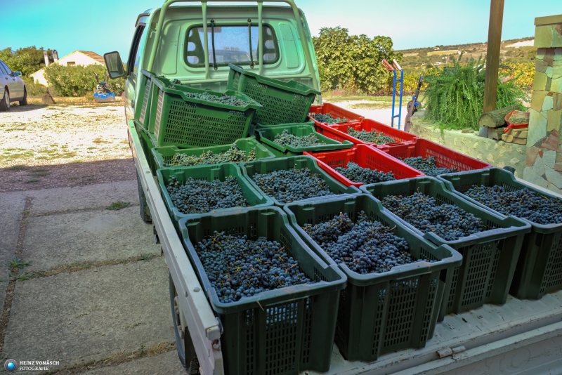 Sardinien_2023_0105