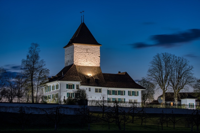 Schloss-Wyl 1