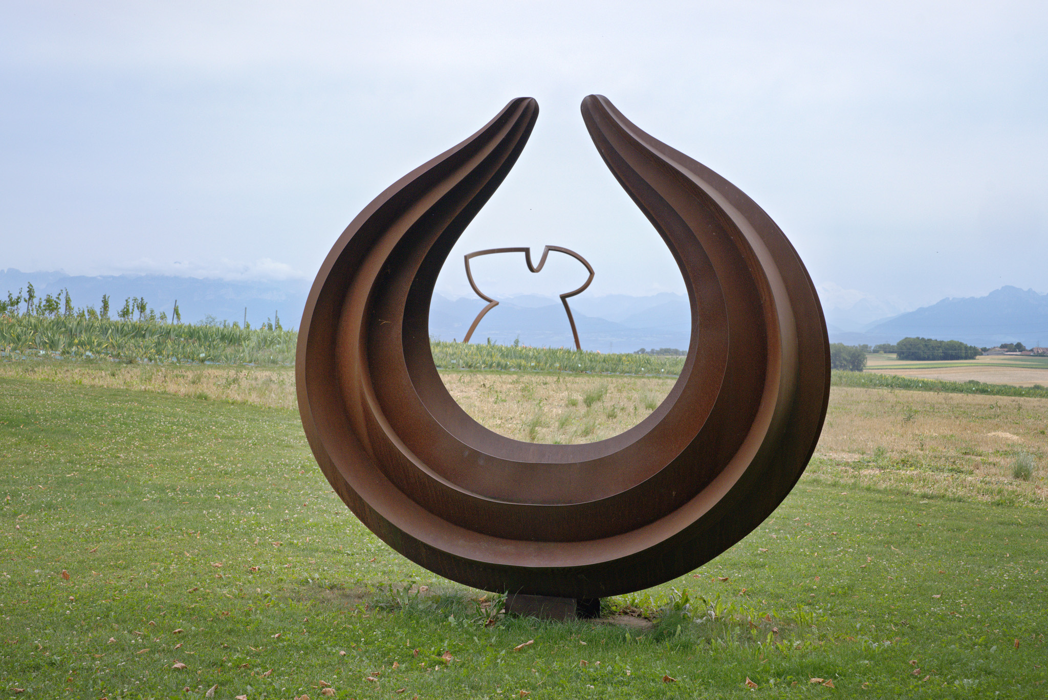 Irisgarten von Vullierens